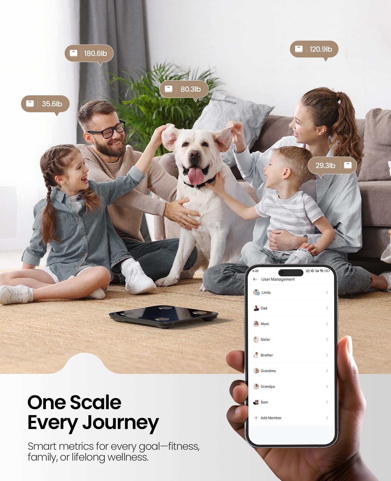 Scale for Body Weight, Digital Smart Bathroom Weight Scale with BMI, Body Fat, Muscle Mass, Accurate 20 Body Composition Scale, 10.2