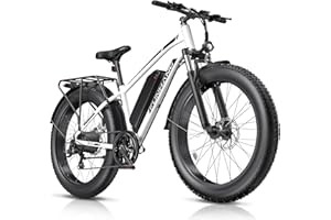 Funhang Electric Bike for Adults, 1000W Peak Ebike, 25MPH 60Miles Electric Mountain Bike, 26" Fat Tire Electric Bicycle with 48V 13AH Battery, Front Suspension,7 Speed, Rear Rack, UL 2849 Certified