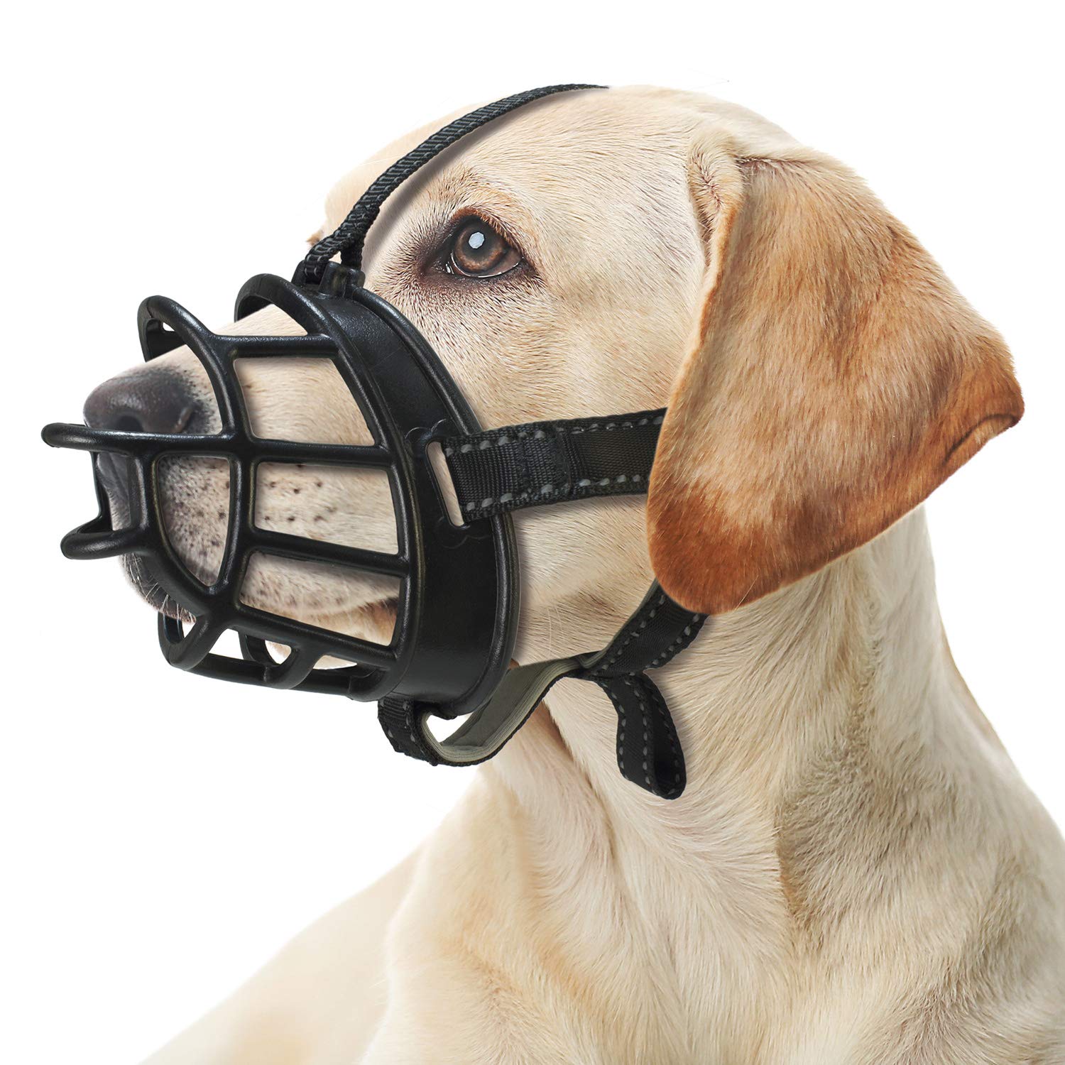 Arquivet Flexible Silicone Muzzle Size XXL for Large Dogs - 10 x 33 x 47-61 cm - Prevents Biting But Allows the Dog to Drink and Take Treats - Anti-Biting