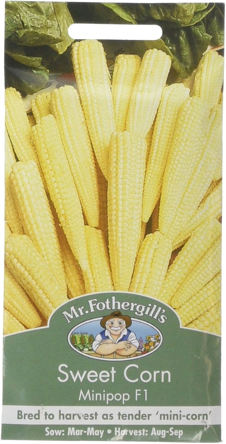 Mr Fothergill's Sweet Corn Minipop F1, Yellow