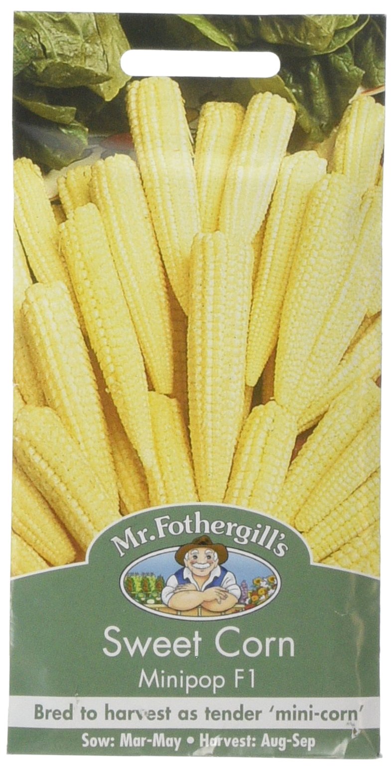 Mr Fothergill's Sweet Corn Minipop F1