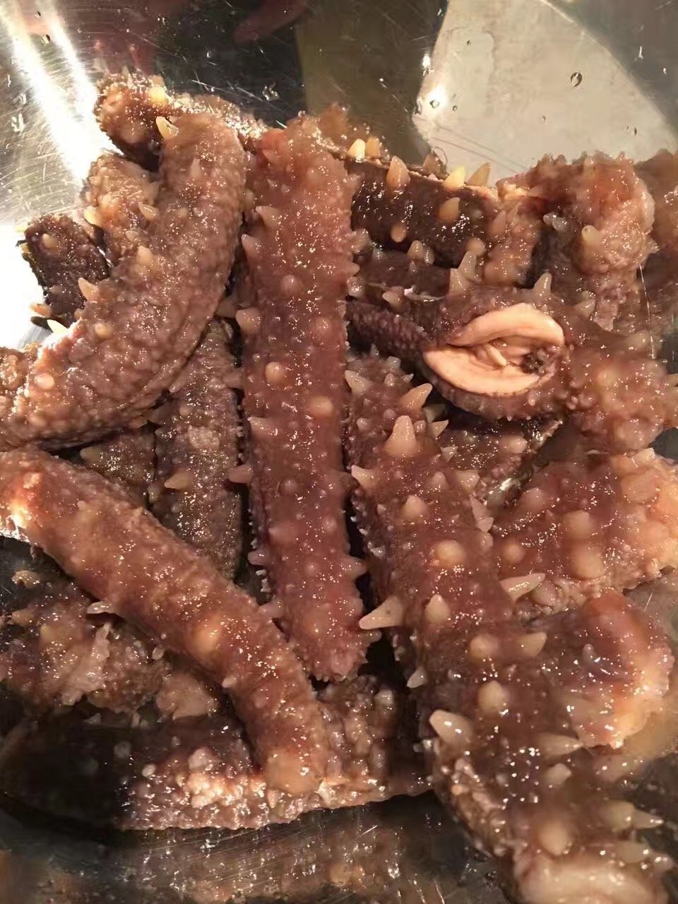 ERLIN 1LB Sun Dried red Sea Cucumber from Alaska medium size Buy