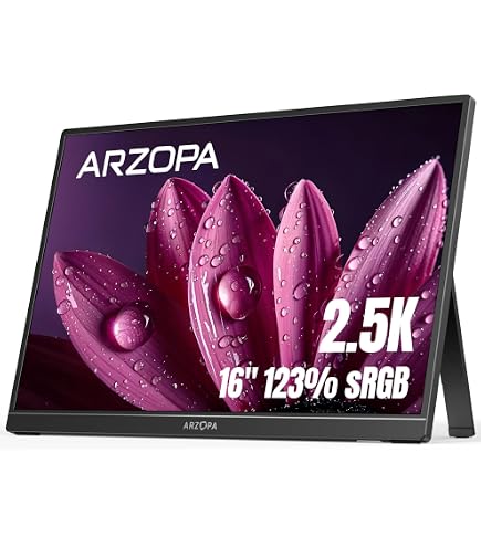 Amazon.com: Lenovo ThinkVision M14d 14