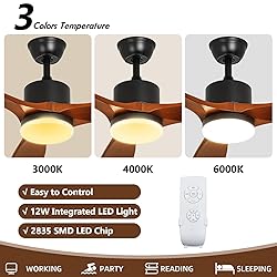 Depuley 60" Ceiling Fan with Light,Indoor Outdoor