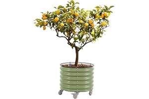 VEGO GARDEN Rolling Metal Citrus Tree Planter, Self-Watering Round Large Pot for Growing Trees Tomatoes Vegetables and Flowers, Raised Garden Bed with Wheels for Porch Patio & Backyard, Single Pack-Olive Green