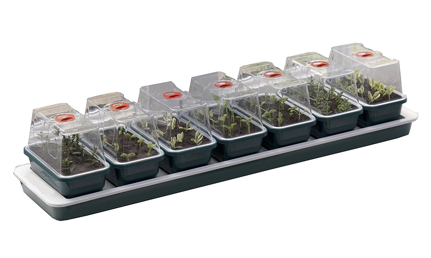 Britten & James® Heated Electric Propagator for Plants with Tray and