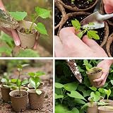 MEETOZ 50x 8cm Round Biodegradable Seedling Pots for Flowers & Indoor Plants view 6