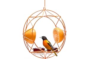 MEKKAPRO Sun Baltimore Oriole Feeder for Outdoors, Jelly and Orange Metal Bird Feeder, Unique Sun Design and Bright Color, Op