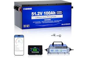 DC HOUSE Metal Case 48V 100Ah Pro Lithium Golf Cart Battery, 200A BMS Lifepo4 Battery with 48V 18A Charger, Bluetooth Mobile APP & LCD Monitor, Peak Current 700A