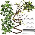 ReptiKing Reptile Terrarium Decor Plants, Hanging Vines, Fake Plants for Reptile Enclosure, Ideal for Chameleon Bearded Dragon Lizard Gecko Tank Accessories