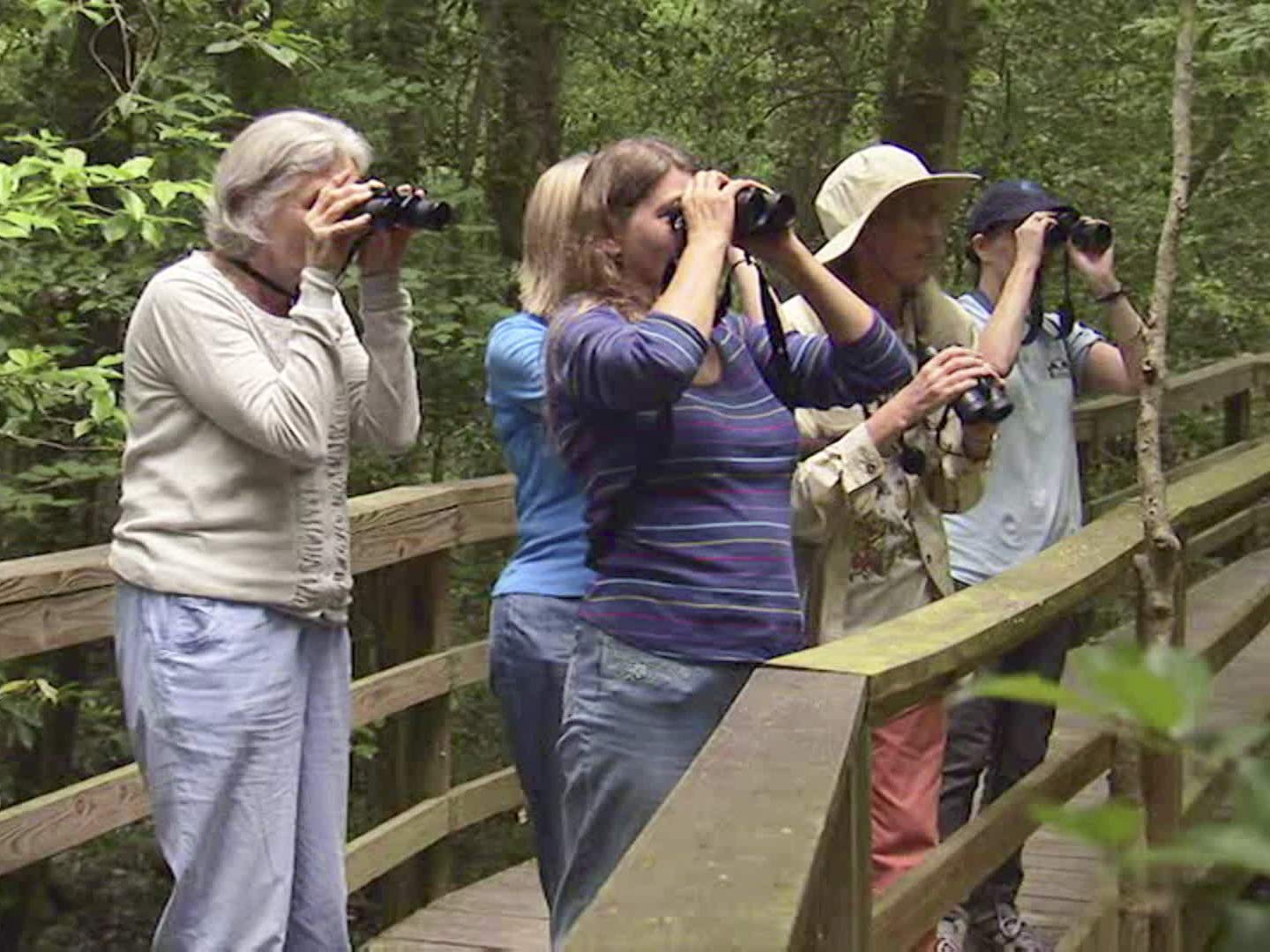 Watch National Parks Top 10 Season 1 Prime Video