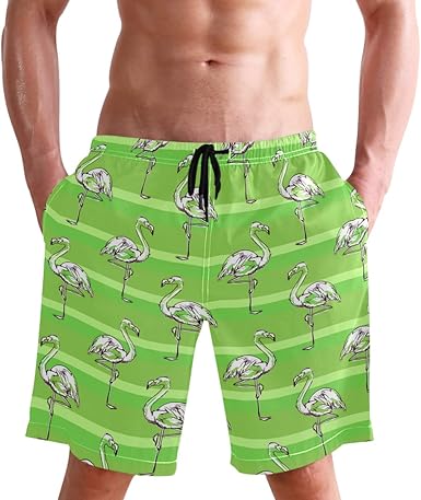 mens swim trunks with flamingos