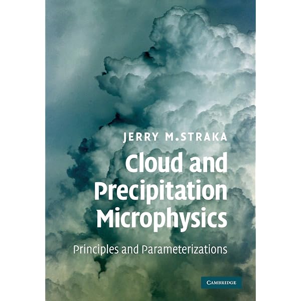 Thermodynamics, Kinetics, and Microphysics of Clouds: Vitaly I