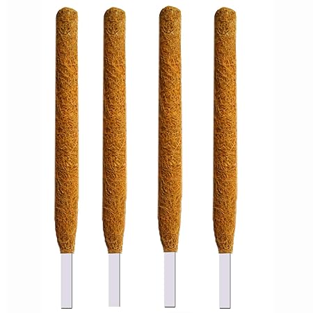 LIVEONCE - 3 feet Moss and Coir Stick for Indoor, House and Plant Creepers Support (Brown, 3 ft) -4 Pieces