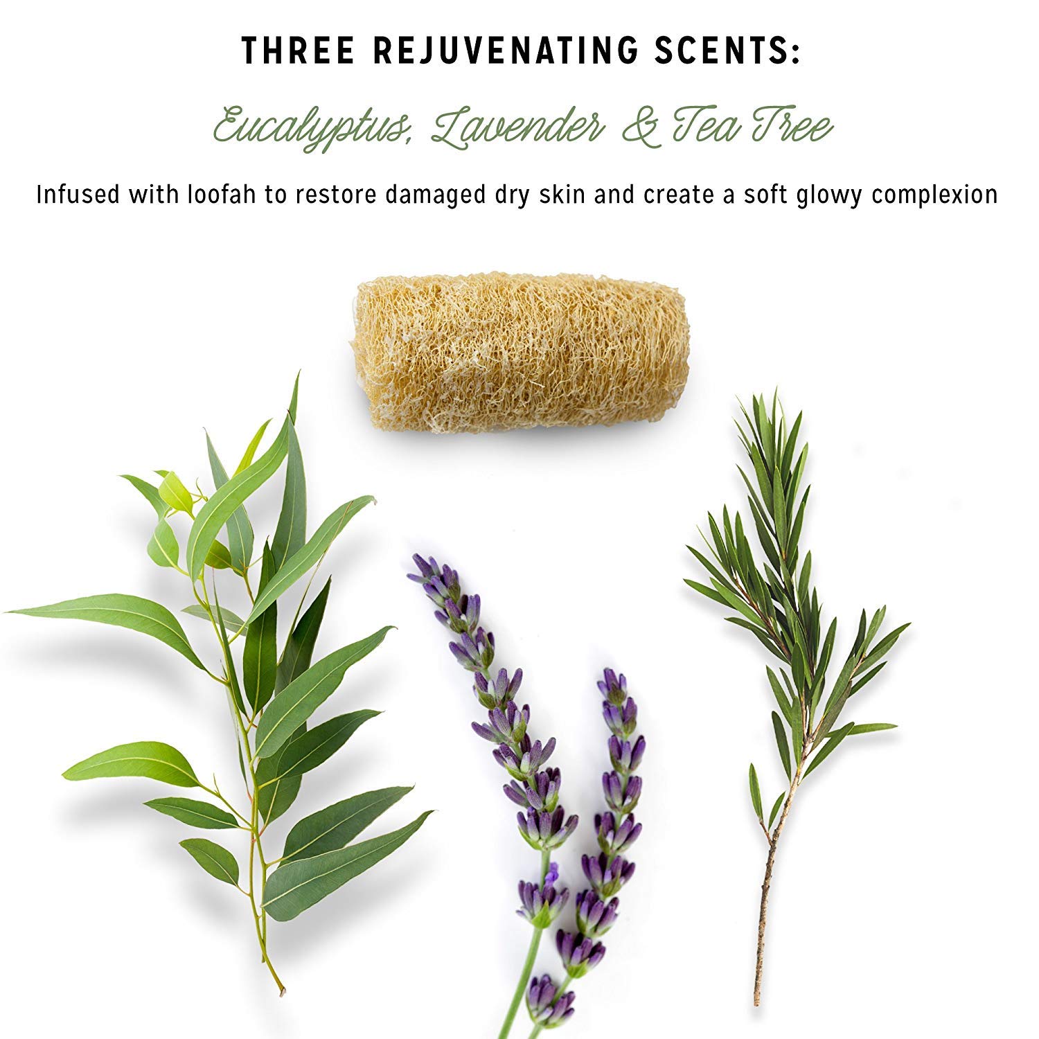 Calily Life Natural Luffa Soap Set Exfoliating Moisturizing Shower and Bath Soap Loofah Body Scrub Exfoliator – Lavender, Eucalyptus and Tea Tree Essential Oil Infused Soap with Natural Luffah sponge