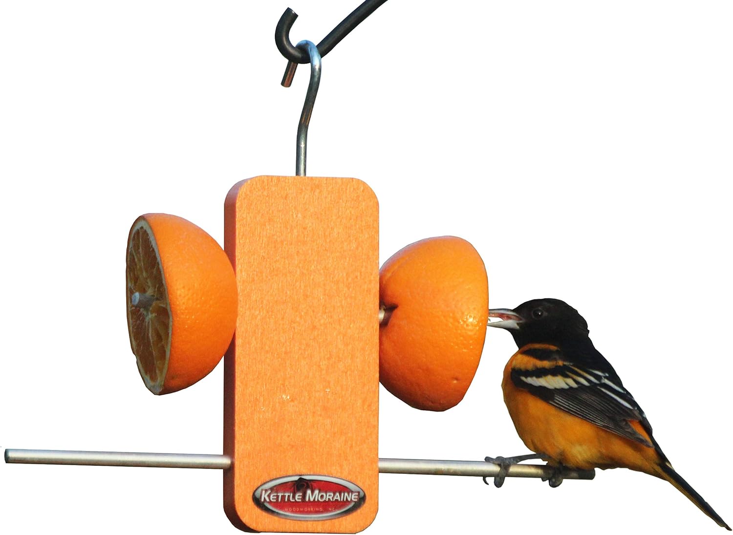 Amazon Com Kettle Moraine Recycled Single Oriole Orange Fruit