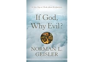 If God, Why Evil?: A New Way to Think About the Question