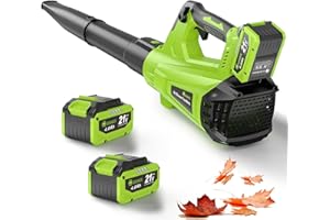 GREENER 21V Leaf Blower Cordless - 600CFM/160MPH Turbo Mode Electric Leaf Blower with 2 X 4.0Ah Battery and Fast Charger Incl