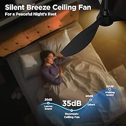 Roomratv Ceiling Fans with Lights, 52 Inch Ceiling