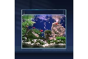 LAQUAL 6.5 Gallon Ultra Clear Glass Fish Tank, Rimless Low Iron Aquarium for Betta/Nano/Goldfish/Snail/Shrimp, Fish Tank & Cover Set & Feeding Ring & Cleaning Tools