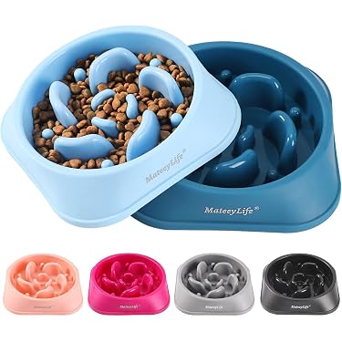 Amazon Best Sellers: Best Dog Slow Feeders