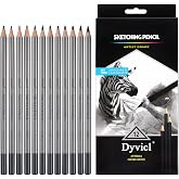 Dyvicl Professional Drawing Sketching Pencil Set - 12 Pieces Drawing Pencils 10B, 8B, 6B, 5B, 4B, 3B, 2B, B, HB, 2H, 4H, 6H Graphite Pencils for Kids, Beginners, Pro Artists