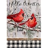 Covido Home Decorative Hello Winter Cardinal Garden Flag Black White Buffalo Plaid Check House Yard Red Bird Tree Branch Snow Pinecone Outside Decoration Christmas Farmhouse Outdoor Small Decor 12x18