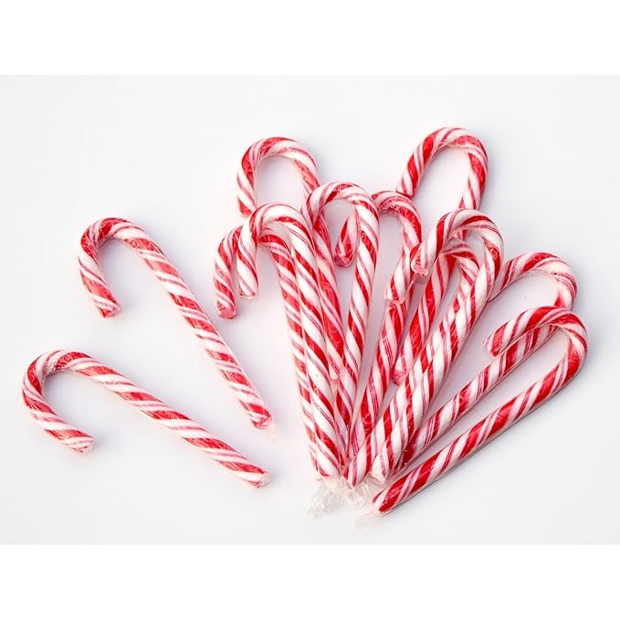 Guilty Gadgets ® Bulk Buy Special 360 x Candy Canes (15 Canes x 24