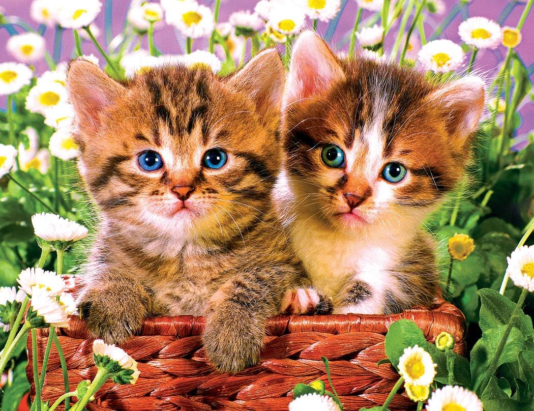 Kodak Premium Puzzles Cute Kitten Basket 100 pc Jigsaw Puzzle