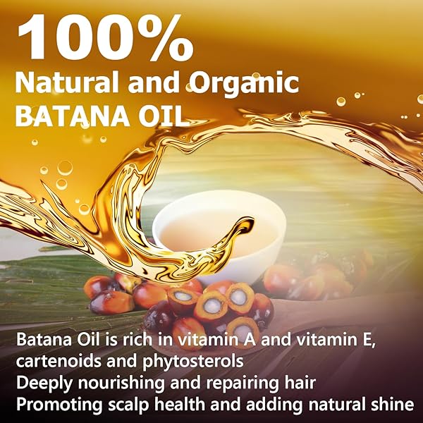 BATANA OIL ORGANIC FOR HAIR GROWTH: NATURAL BATANA OILS FROM HONDURAS HAIR TREATMENT FOR HAIR LOSS – HAIR REGROWTH MOISTURIZER MASKS GROWTH AND THICKNESS COLD PRESSED BATANA OILS FOR WOMEN MEN (1PCS)