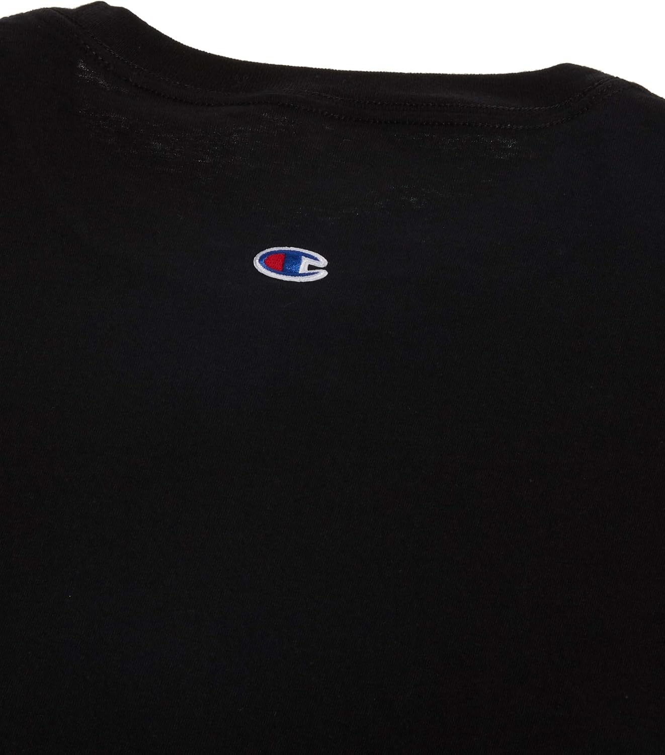 Champion Men's Classic Jersey Muscle T-Shirt: Clothing