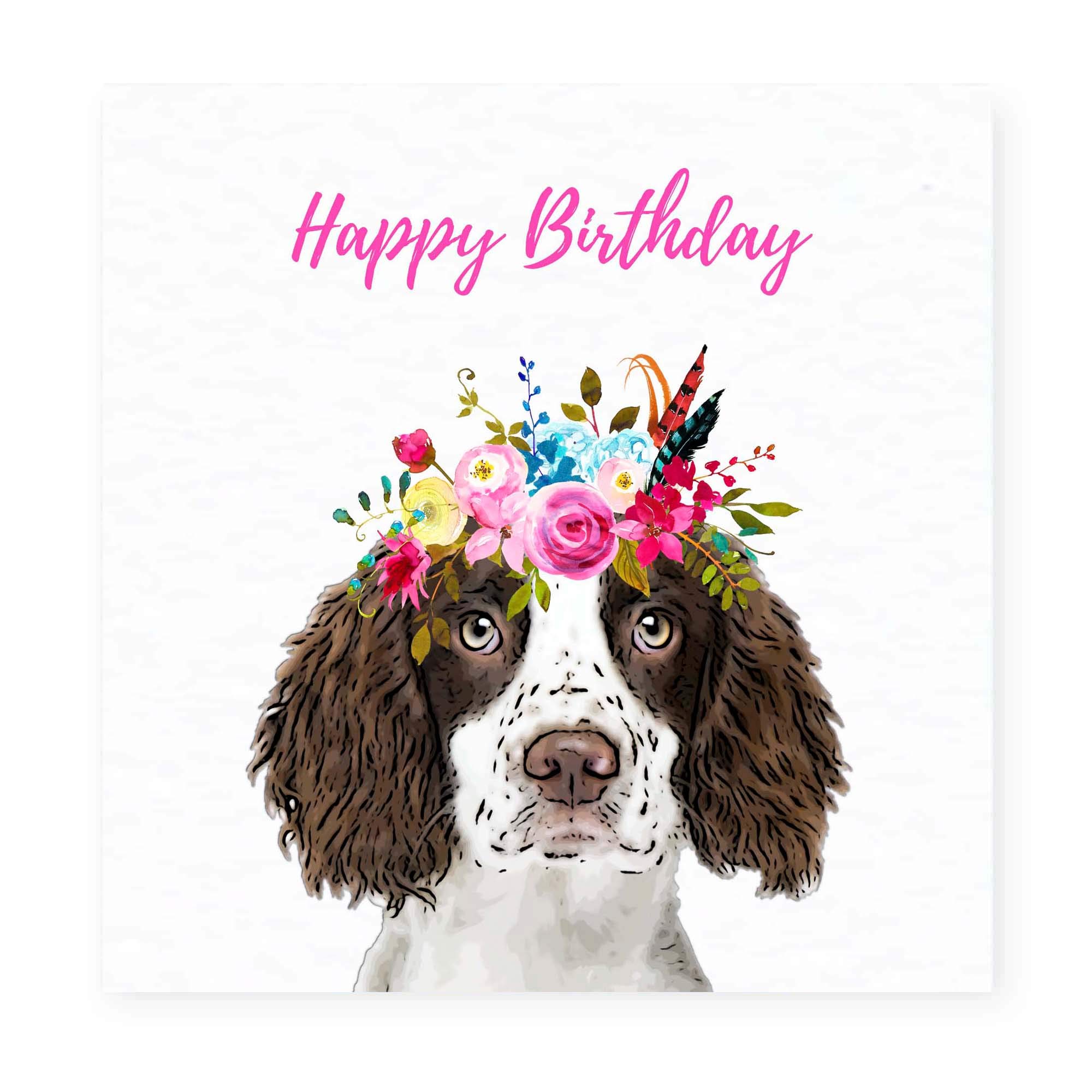 Springer Spaniel Birthday Card - Greetings Card - Gift for Springer Spaniel Lover