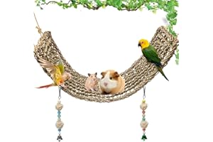 Bird Swing Toys Coldairsoap Seagrass Woven Parrot Platform Bird Climbing Hanging Hammock for Lovebird, Cockatiel, Budgie, Conure Parrotlet, Parakeets Bird Perch Stand Chewing Toy