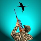 bird hunting
