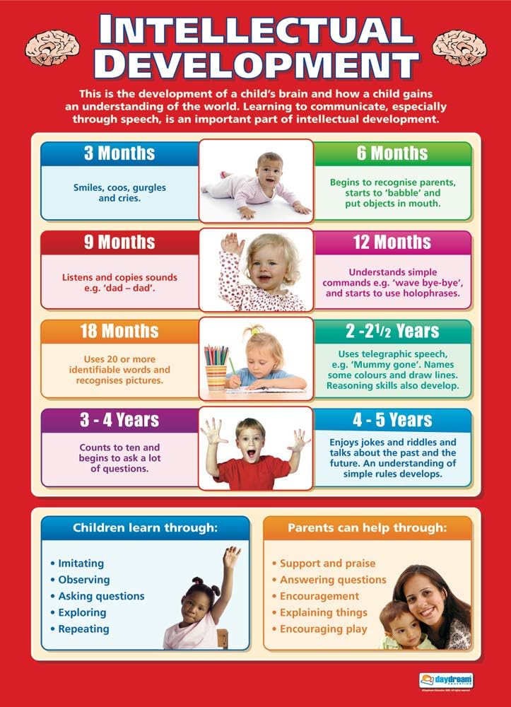 Intellectual Development Child Development Posters Gloss Paper 