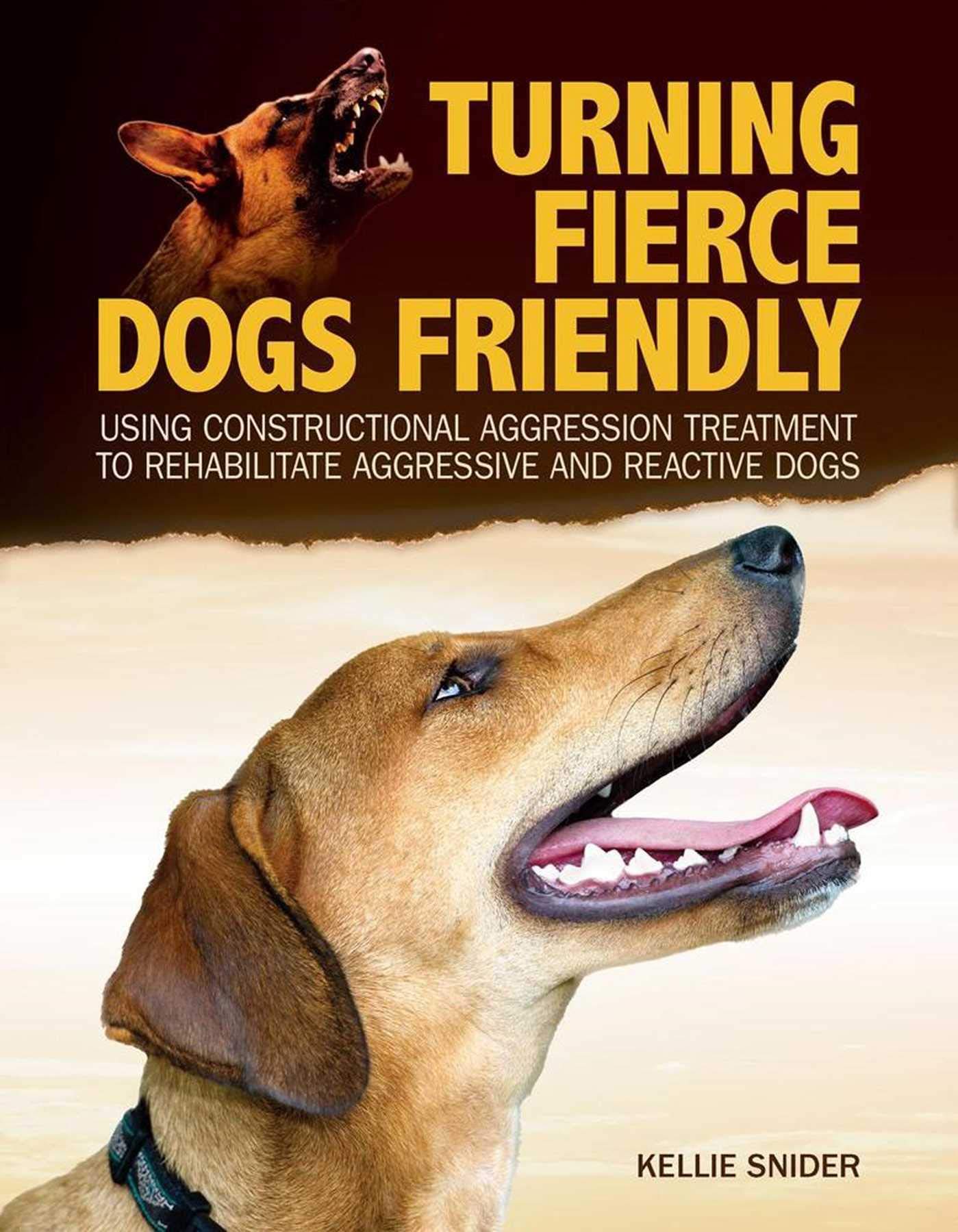 treatment for dog aggression