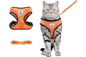 shudyear Summer cat Chest Harness and Leash, Anti-Escape Adjustable Soft mesh cat Leash and Chest Harness Set for All Types of Cats cat Vests (Size M, Orange)