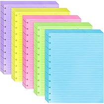 WANGDEFA 12 Pack Letter Size Disc Planner Pocket 11 Disc