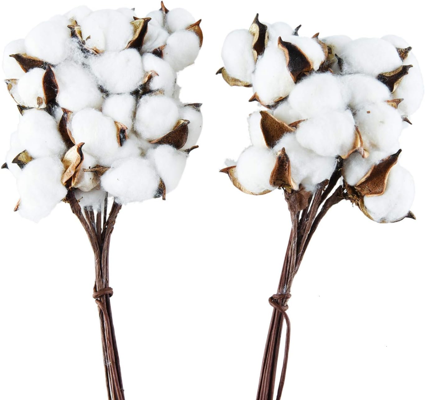 Pomeat 20Pack Natural Cotton Stems Dried Cotton Floral Branch for Farmhouse Fall Decor Wedding Decoration
