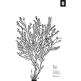 An Elegant Puzzle: Systems of Engineering Management