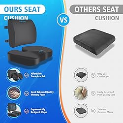 CushZone Seat Cushion, Lumbar Support Pillow with