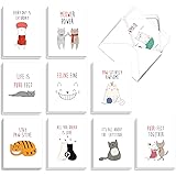 The Best Card Company - 20 Note Cards Blank Assortment (4 x 5.12 Inch) (10 Designs, 2 Each) - Cat Got Your Tongue AM7183OCB-B