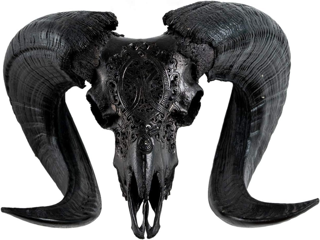 Novum Crafts 22'' Genuine Ram Skull with Horns & Carving - Made by Skull Bliss (Black Tribal)