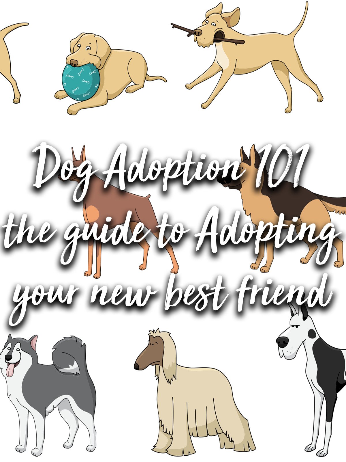 guide to adopting a dog