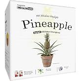 Miracle LED Pineapple Starter Grow Light Kit 3-Socket Full Spectrum (2- Pack)