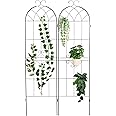 Amazon.com : MyGift 6 ft Tall Garden Trellis, Black Metal Decorative ...
