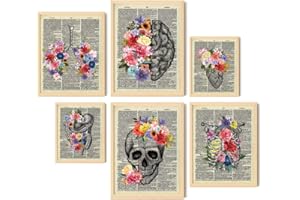 EXCOOL CLUB Vintage Floral Anatomy Posters - 12x16 Medical Office Decor, Skeleton Anatomy Art Prints, Brain Anatomical Heart Picture Skull Painting, Human Skeleton Wall Decor for Doctor (UNFRAMED)