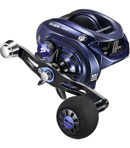 Amazon.com : Shimano PLEMIO 3000 Big Game [Japan Import] : Sports