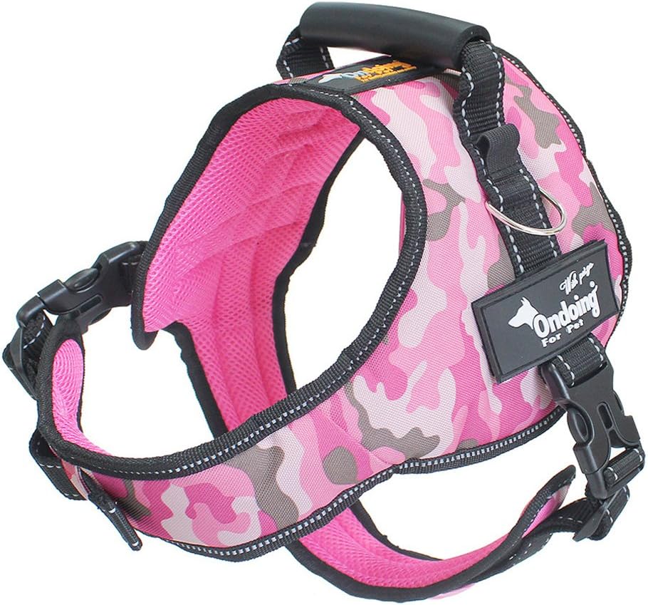 Backpack School Bag Book Bag for Boys Girls