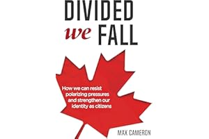 Divided We Fall: How we can resist polarizing pressures and strengthen our identity as citizens